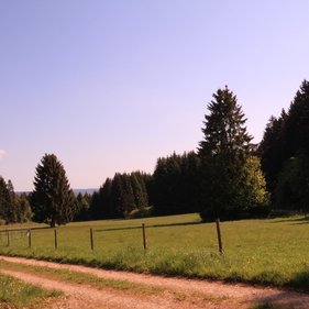Lerne die Nationalparkgemeinde Allenbach kennen.